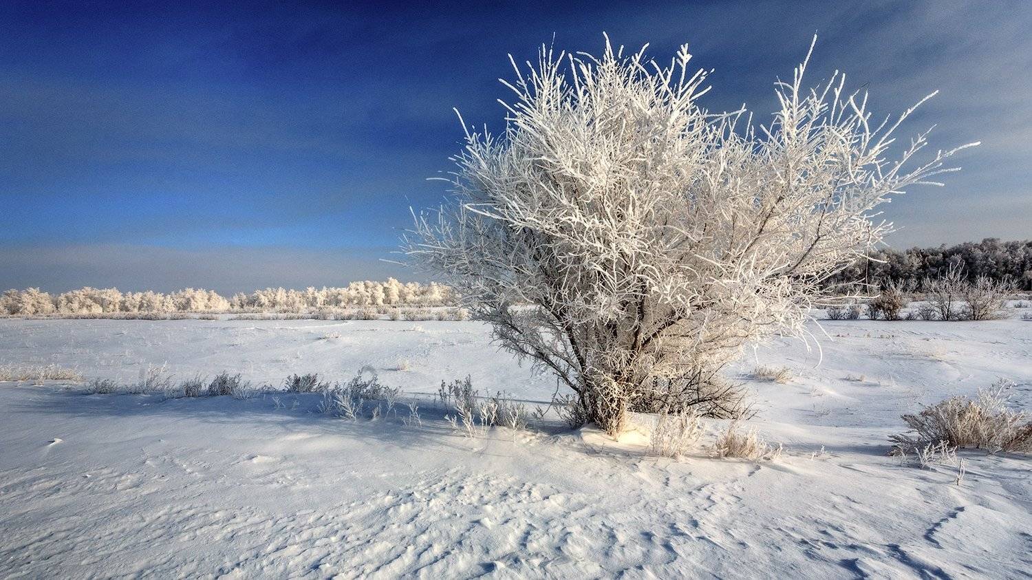 , Леонид Дьяченко