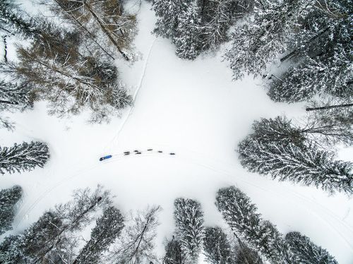 Sled dog racing