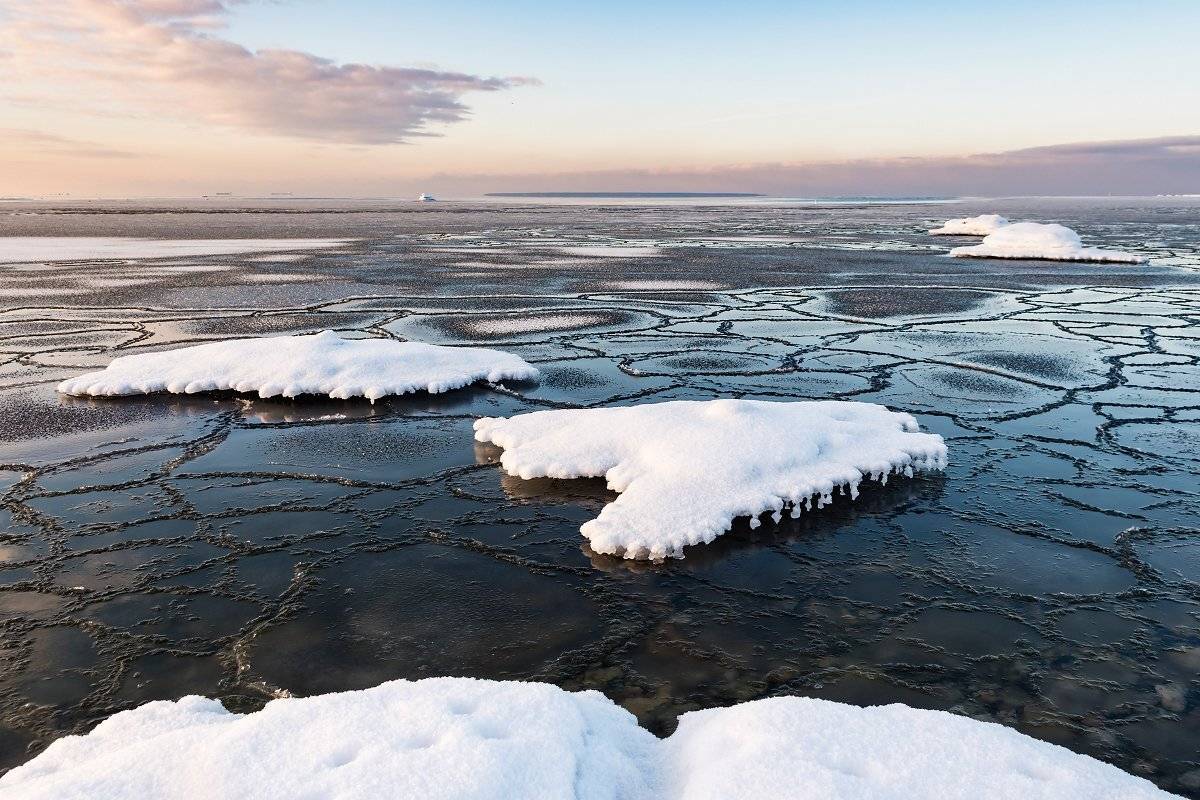 , Александр Абросимов