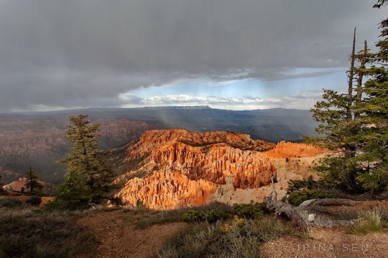 bryce canyon national park, utah, umited states Снежный шторм в Брайс-каньоне, Юта, США фото превью