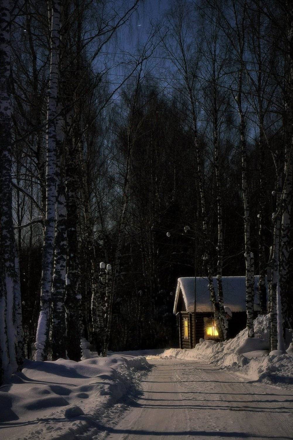 , Сергей Алексеев