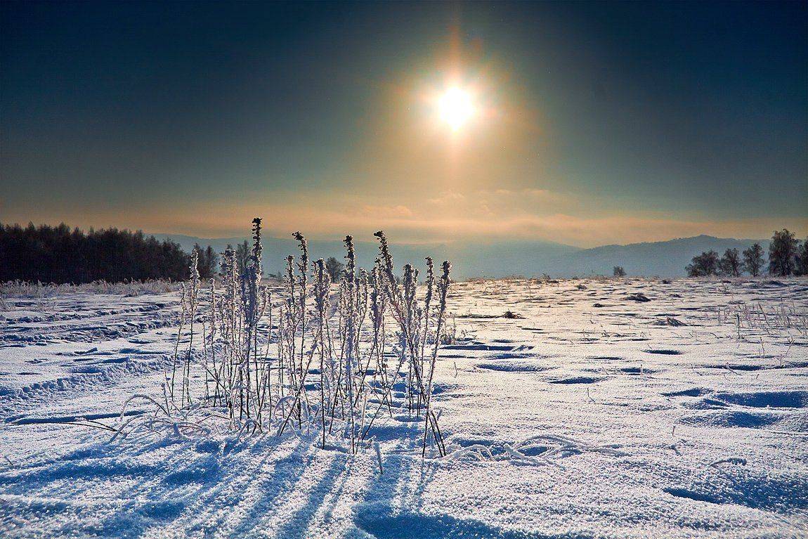 зима, холод, закат, солнце, иней, оранж, Качурин Алексей