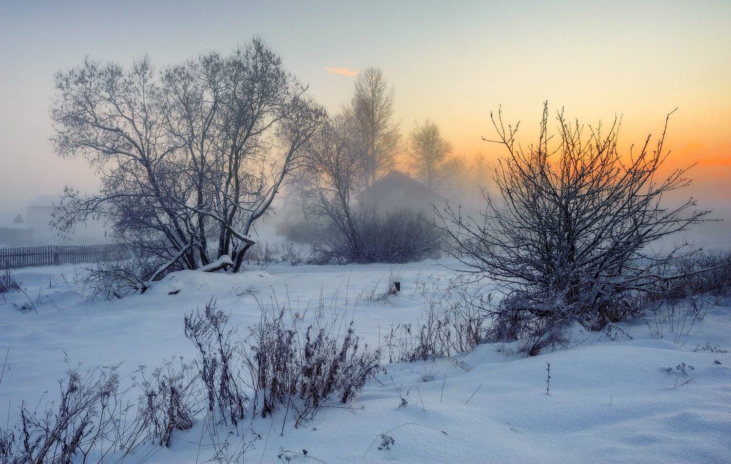 зима,вечер,туман,сумерки,снег,пейзаж, Евгений Плетнев