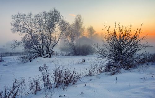 В вечернем тумане