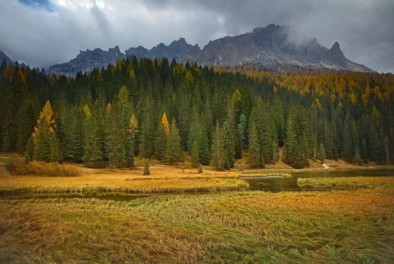 , Игорь Дубровский