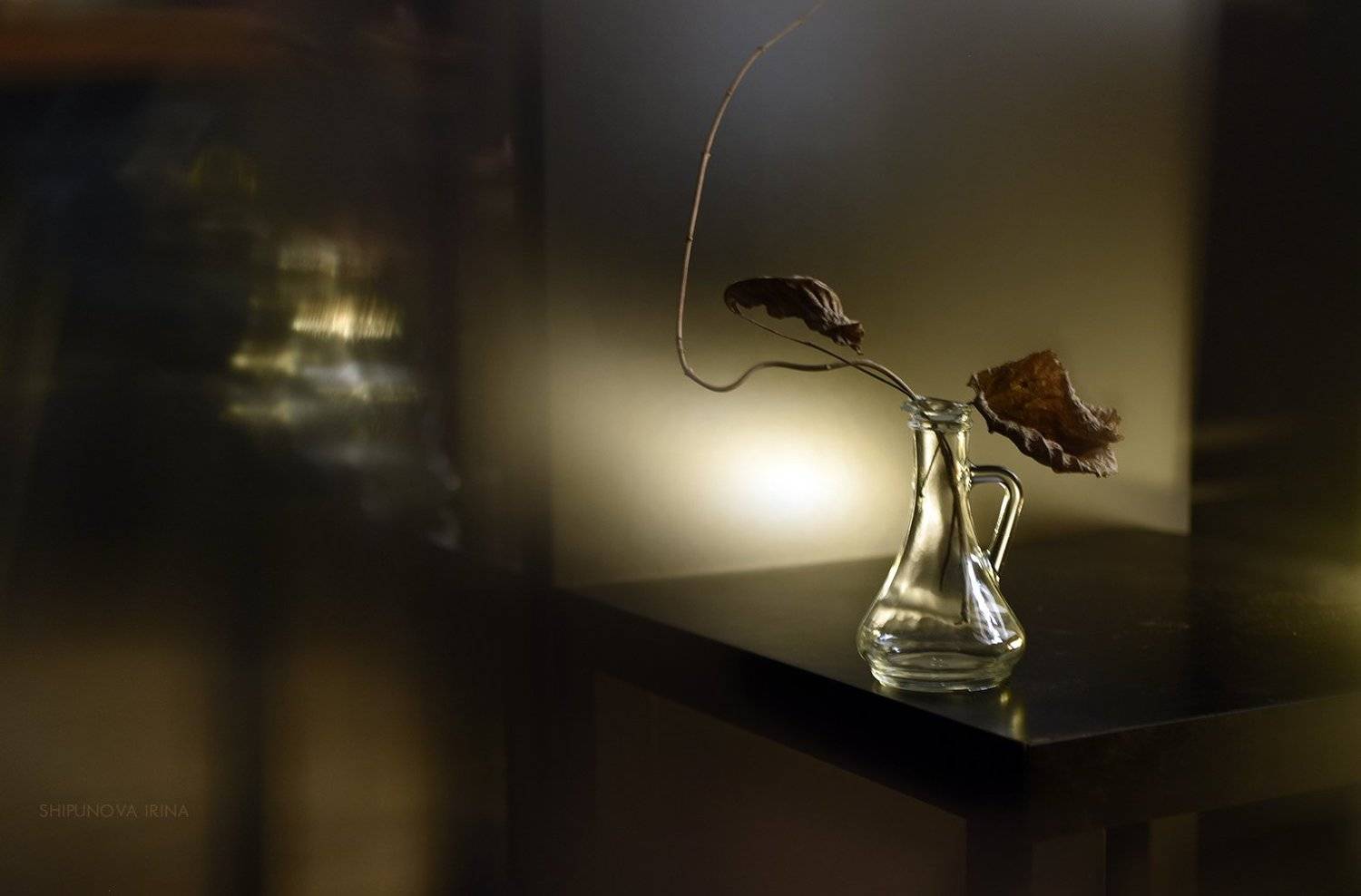 , Шипунова Ирина