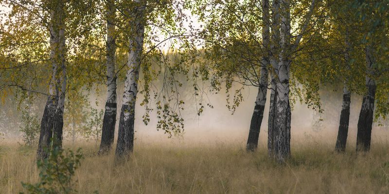 Тихое осеннее утро фото превью