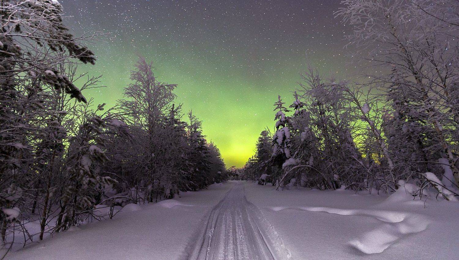 северное сияние,полярное сияние,сс,коми,природа,север,northern lights, polar lights, ss, komi, nature, north, Игорь Триер