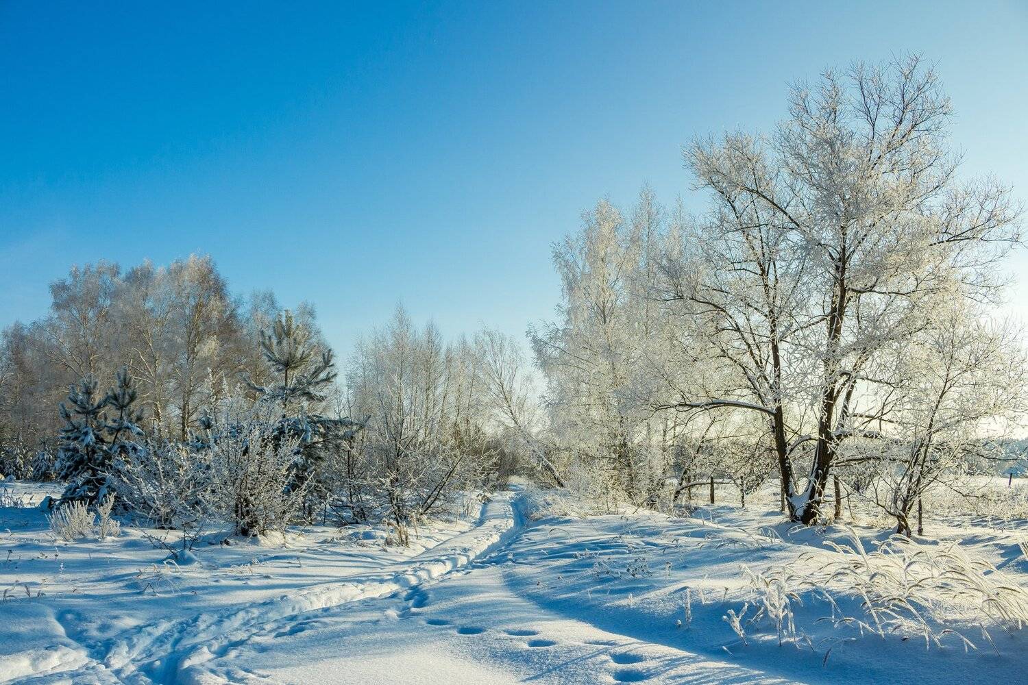 мороз, рождество, зима, дорога, снег, деревья, Руслан Востриков