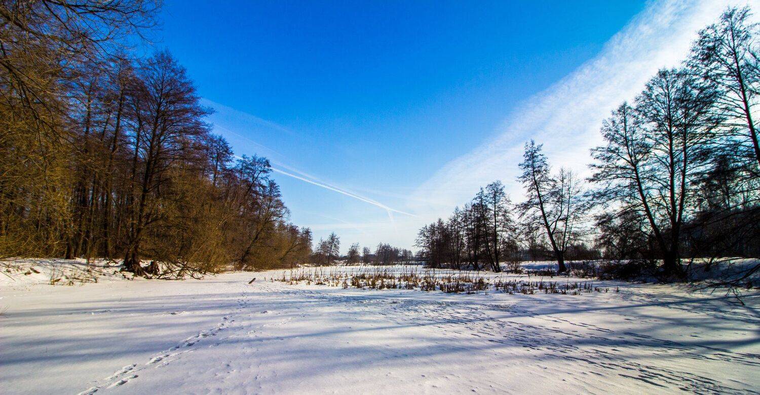 зима, лес, река, усмань, снег, Руслан Востриков