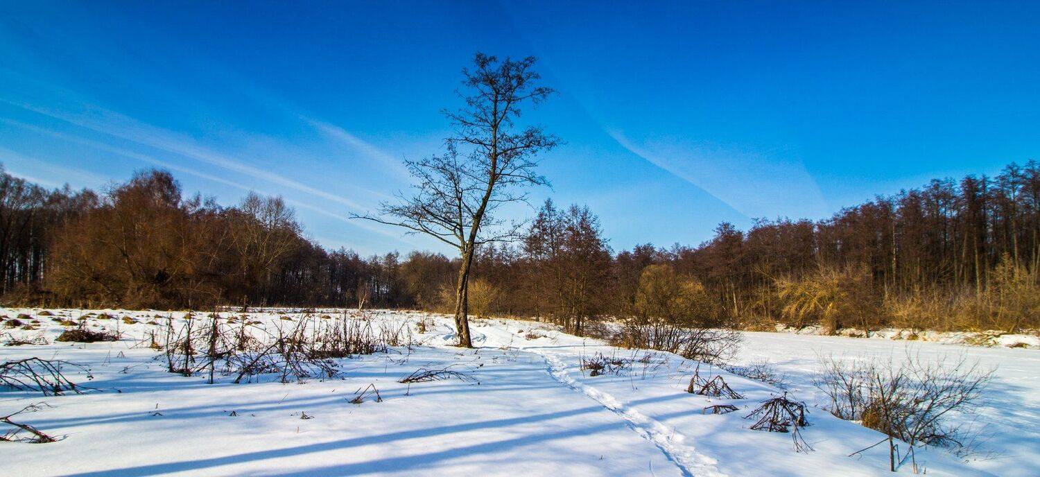 зима, лес, река, усмань, снег, Руслан Востриков