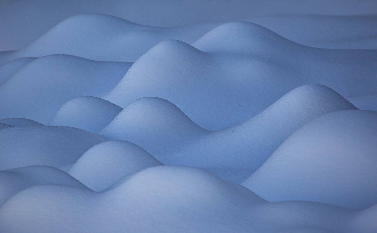 forest, dune, winter, snow, landscape, travel, nature, mountain ,romania, Lazar Ioan Ovidiu