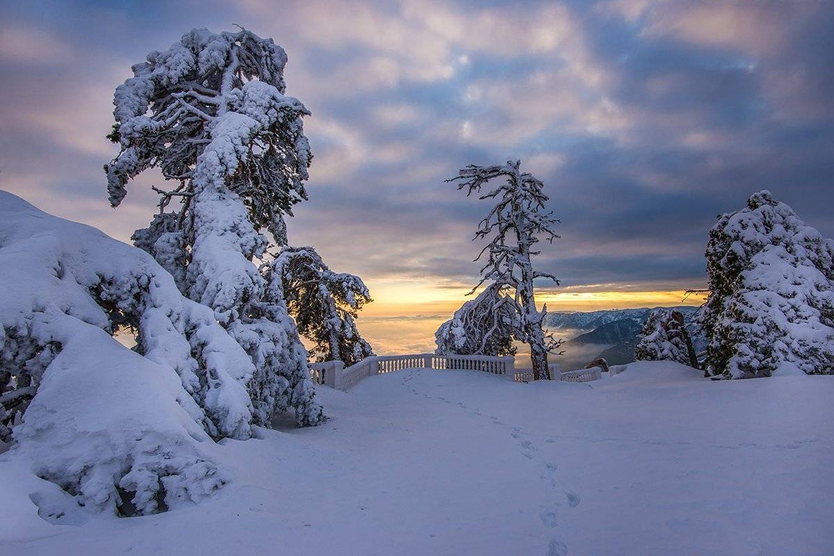 крым, Юрий Коваленко