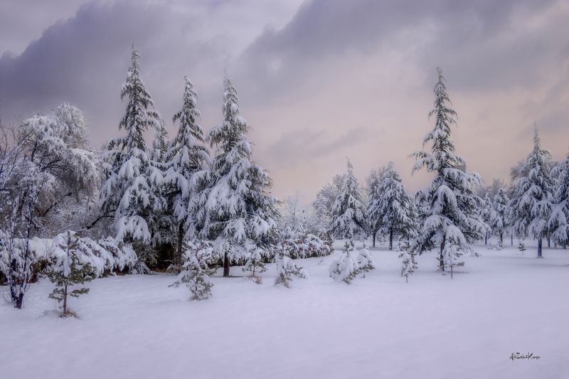 winter-2 фото превью