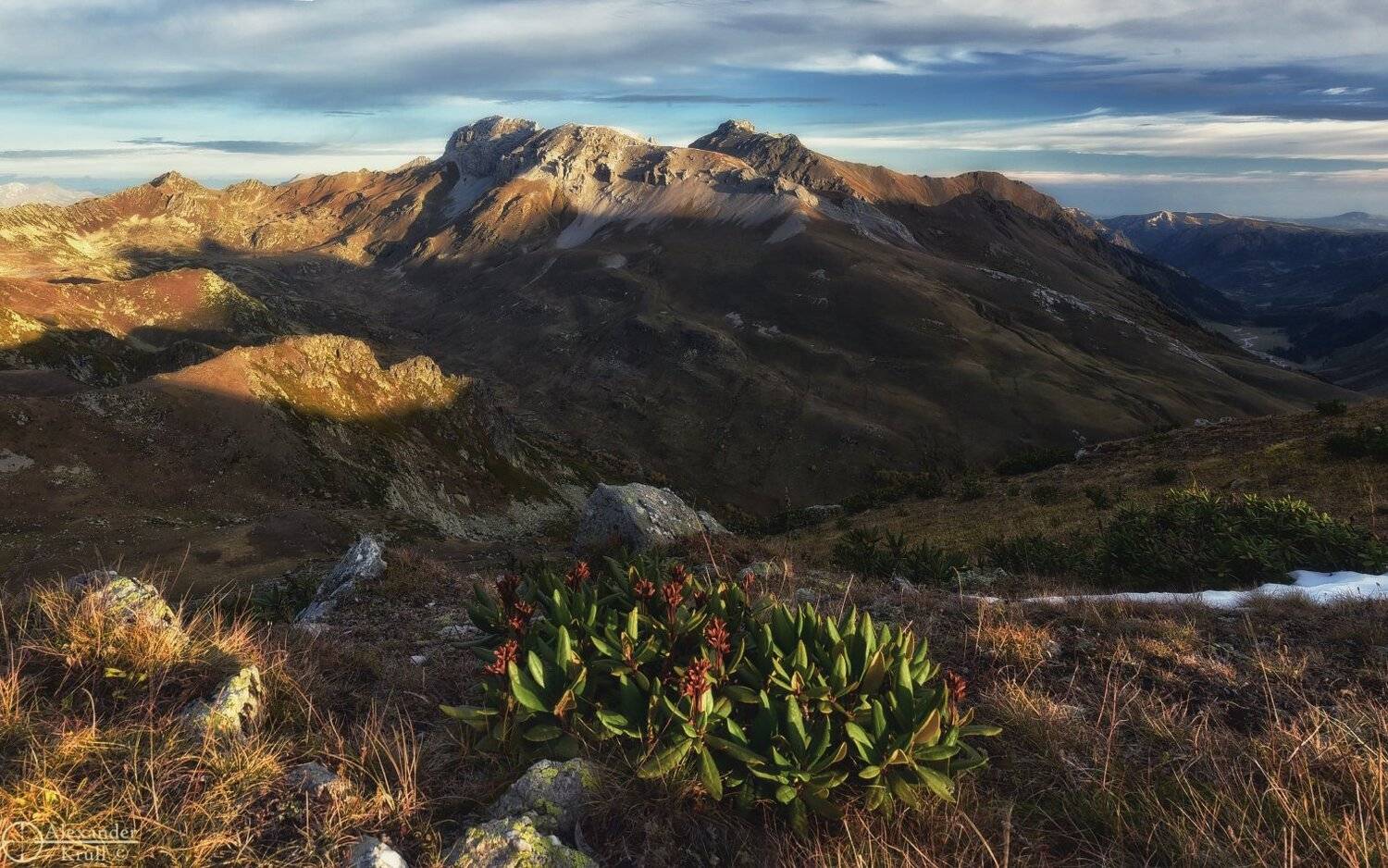 , Александр Круль