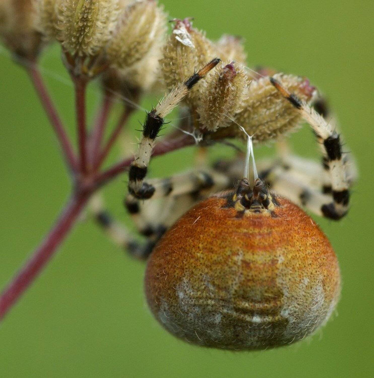 , Евгений Лукашук
