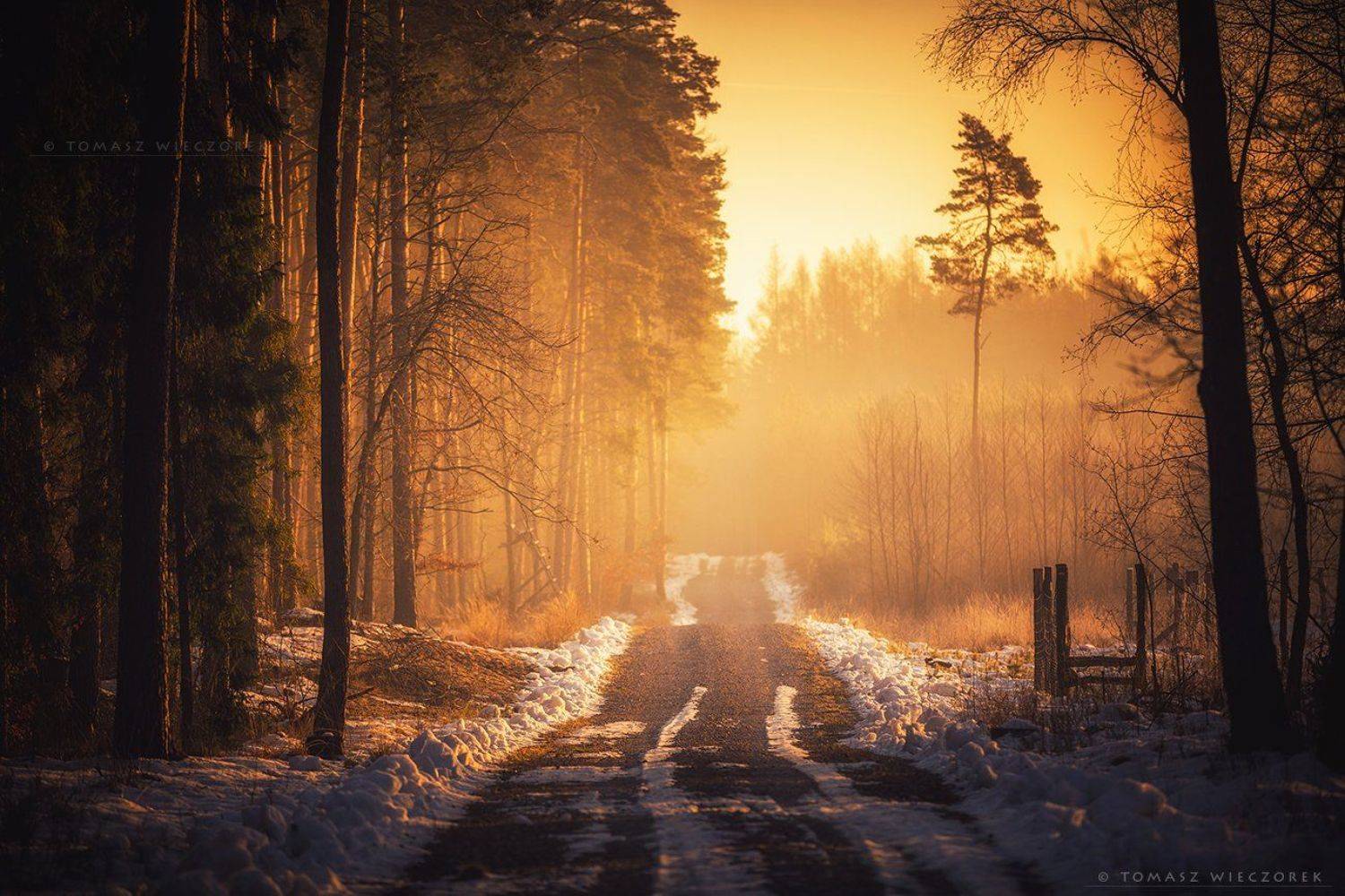 forest, poland, polish, landscape, sunrise, sunset, mood, musing, loneliness, beautiful, amazing, awesome, adventure, explore, travel, light, Tomasz Wieczorek