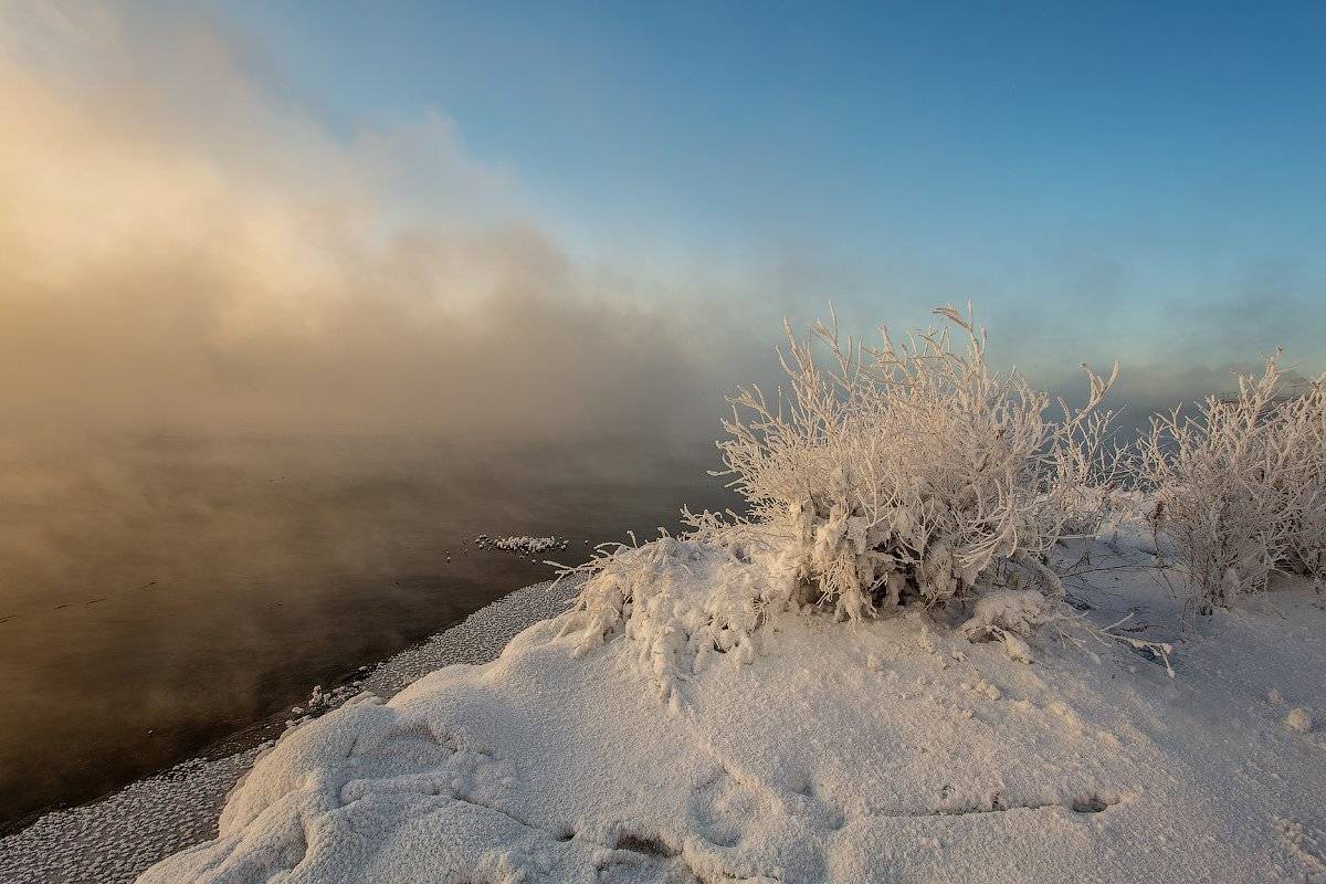 , Комеров Роман