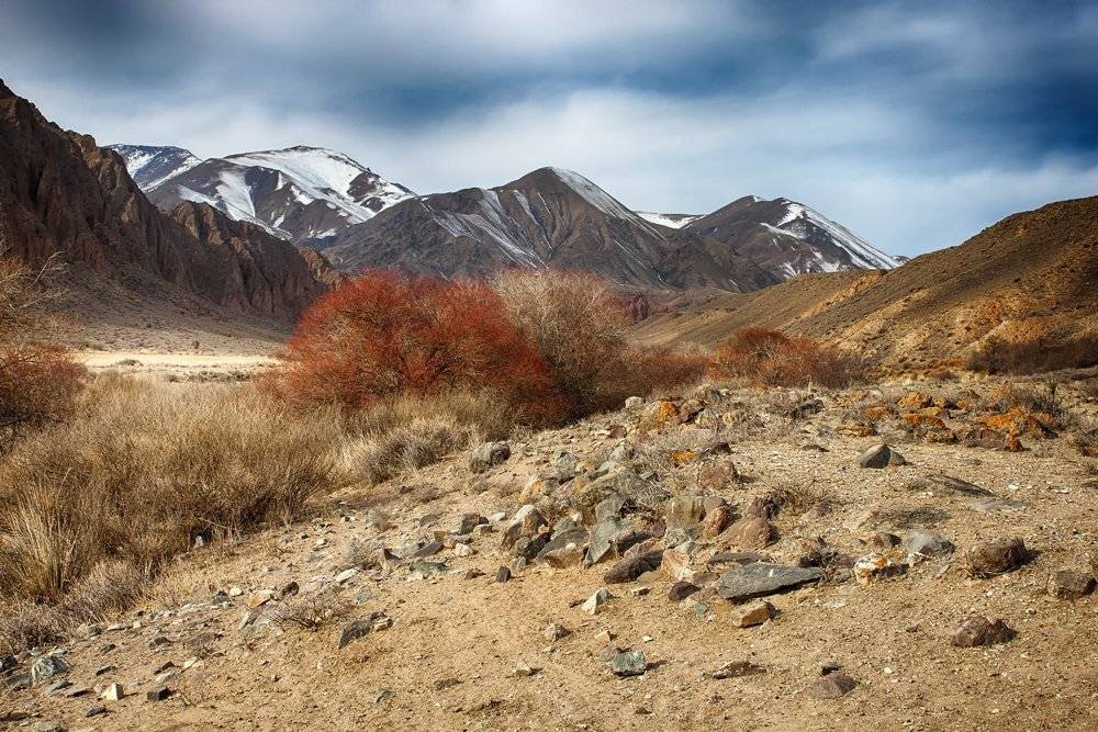 кыргызстан, горы, Элина Магалимова