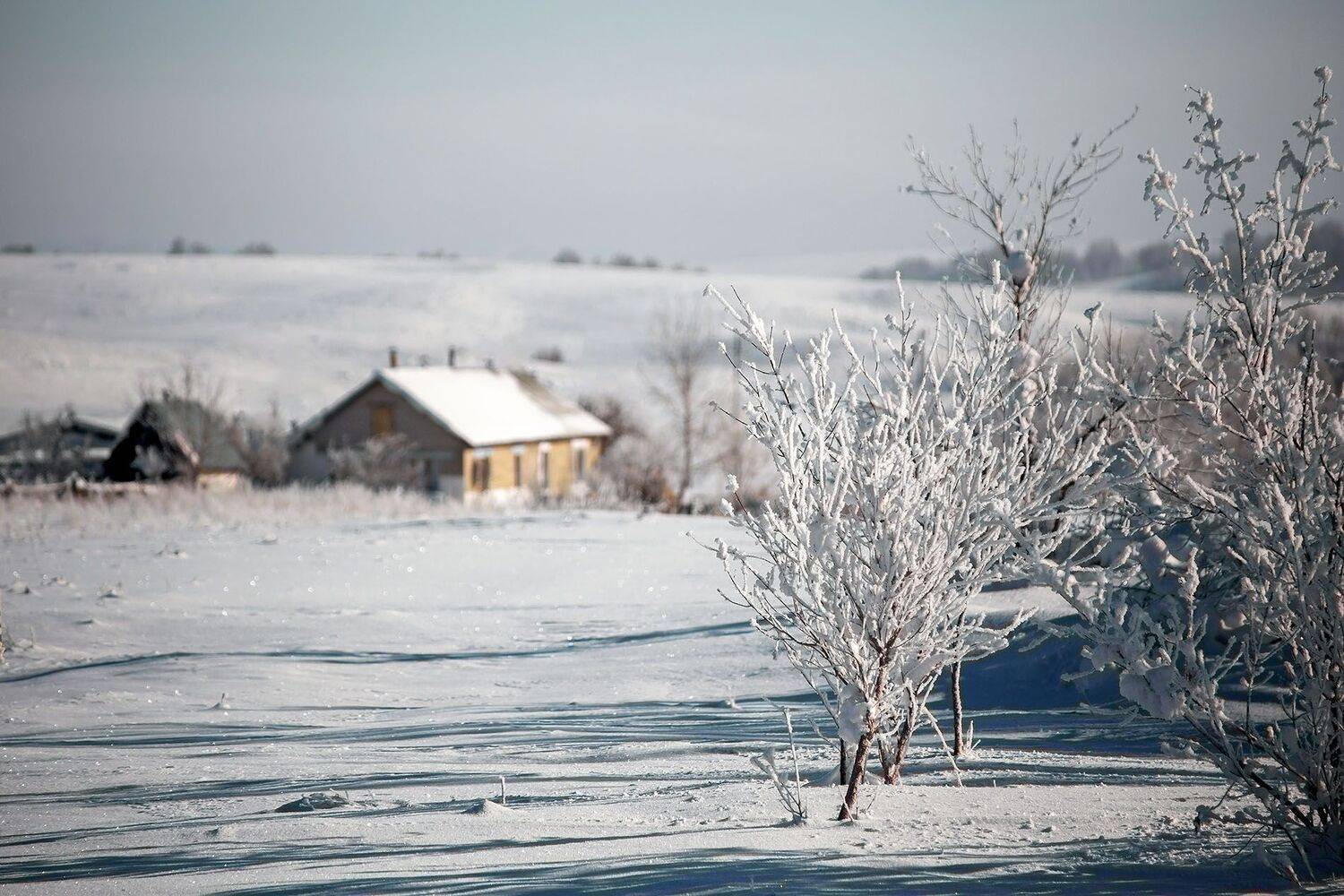 снег зима деревня, Качурин Алексей
