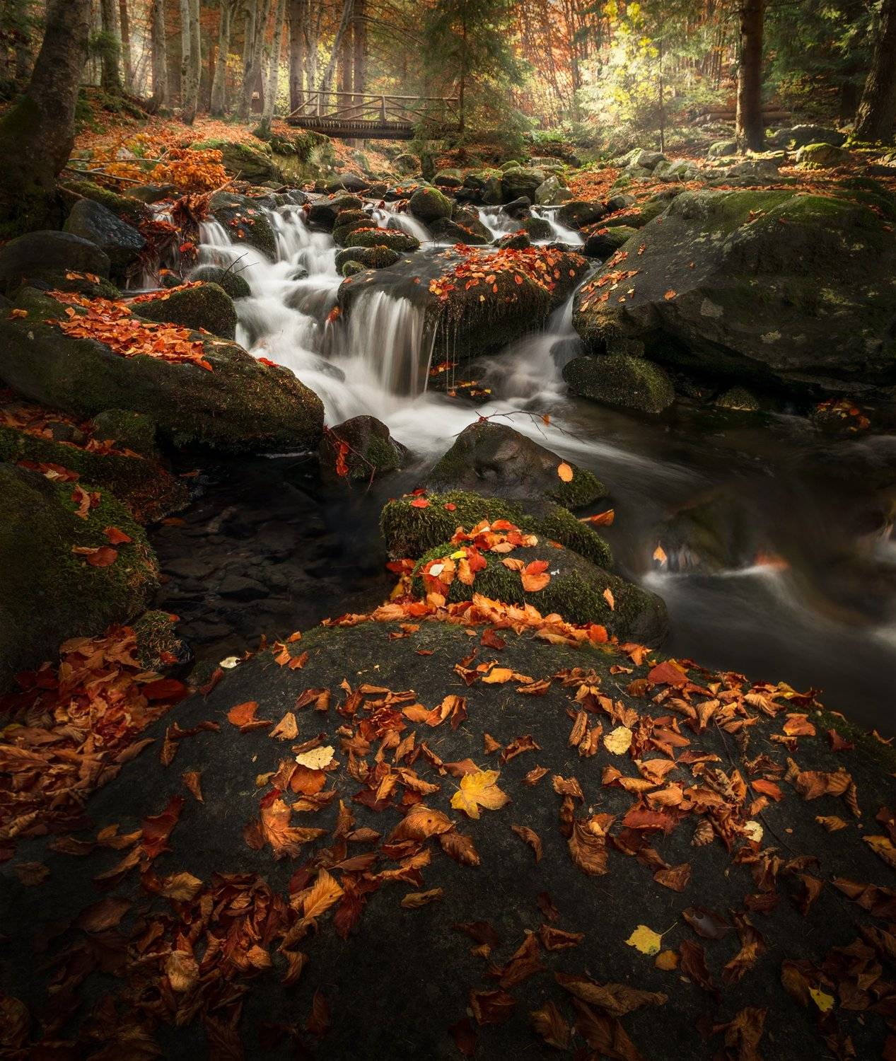 landscape nature scenery forest wood autumn river longexposure mountain rocks leaves bridge vitosha bulgaria лес oсень, Александър Александров