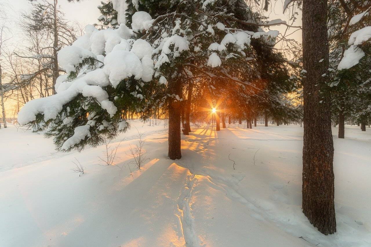 печора,солнце,зима, Игорь Подобаев