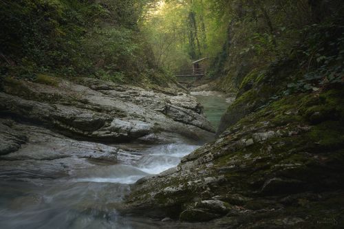 В лесах Краснодарского края
