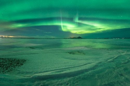 Alien invasion at Myvatn
