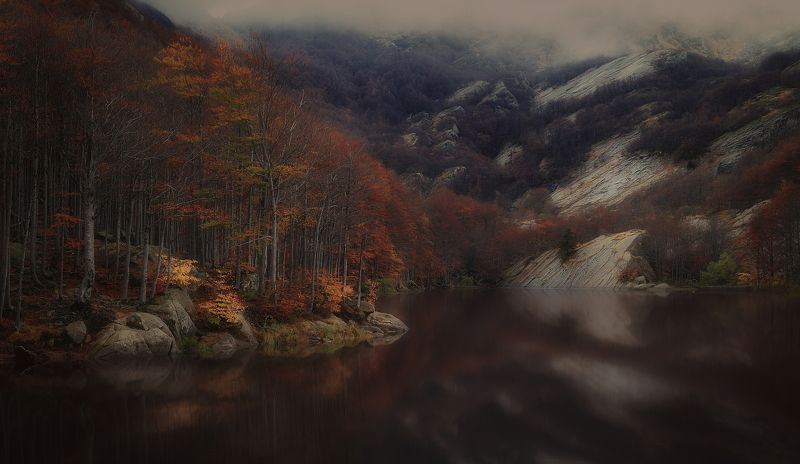 Lagoni фото превью