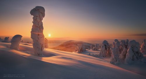 Под присмотром