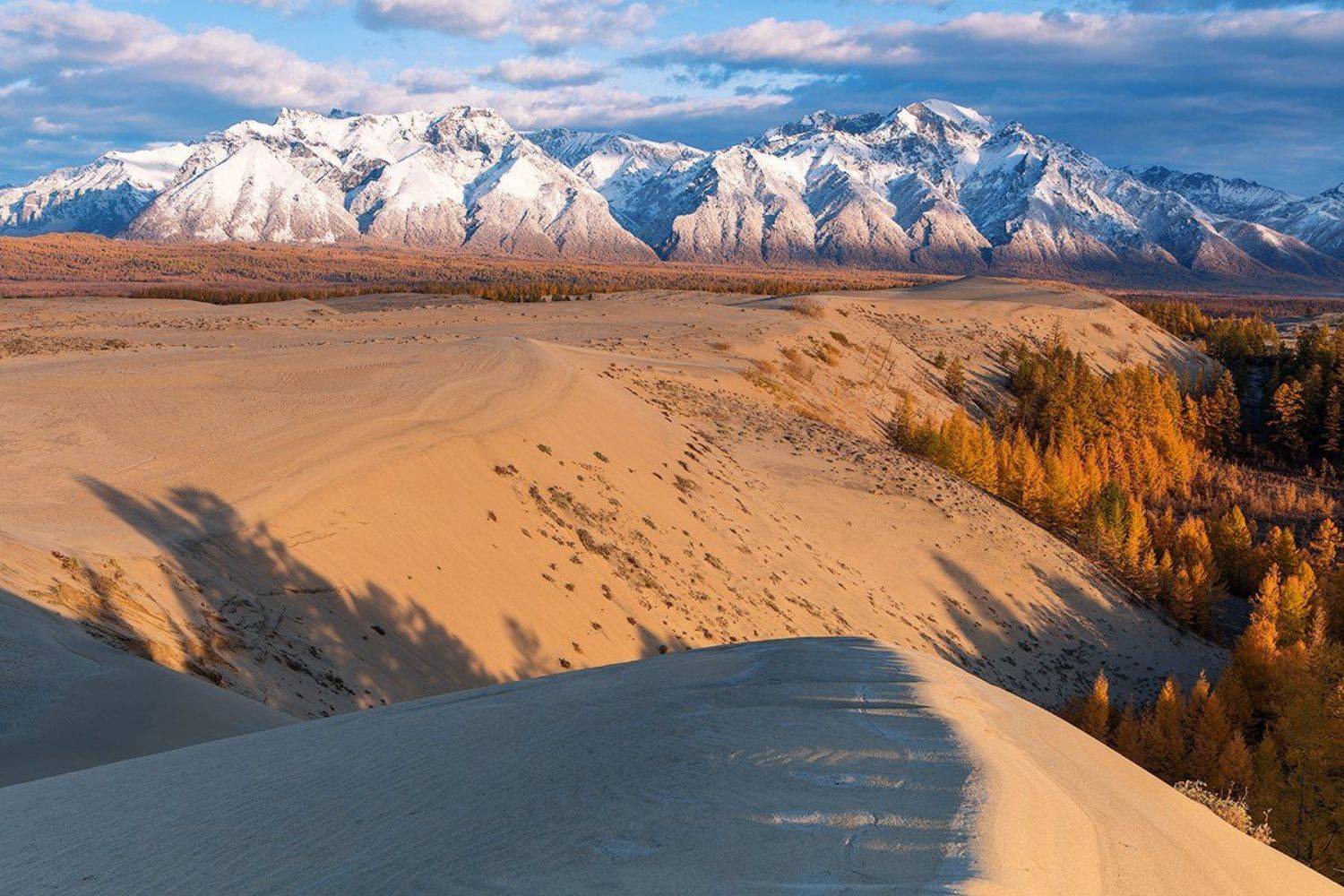забайкалье, чарские, пески, кодарский, хребет, осень, горы, лиственница, Кочетков Евгений