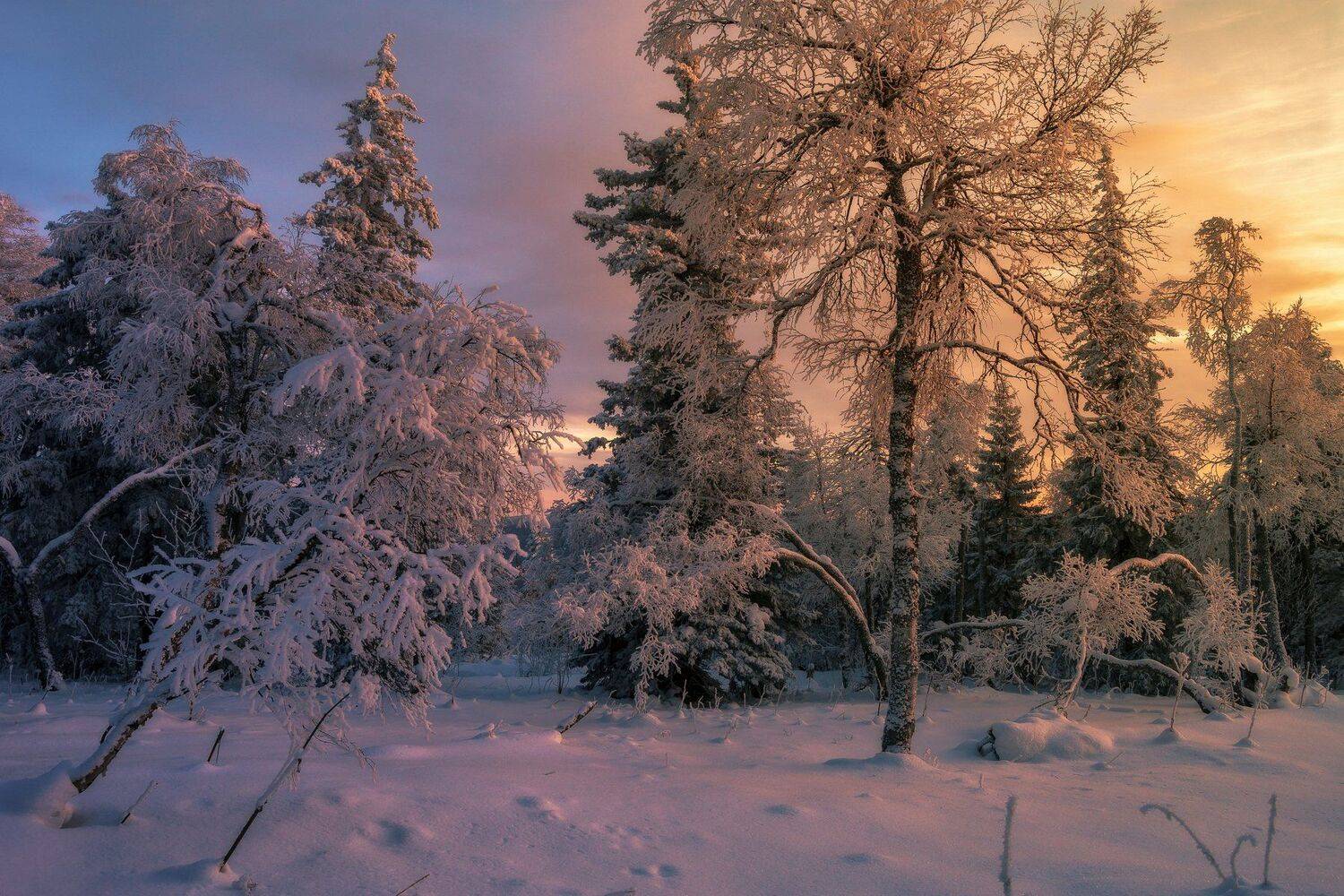 , Андрей Шарапов