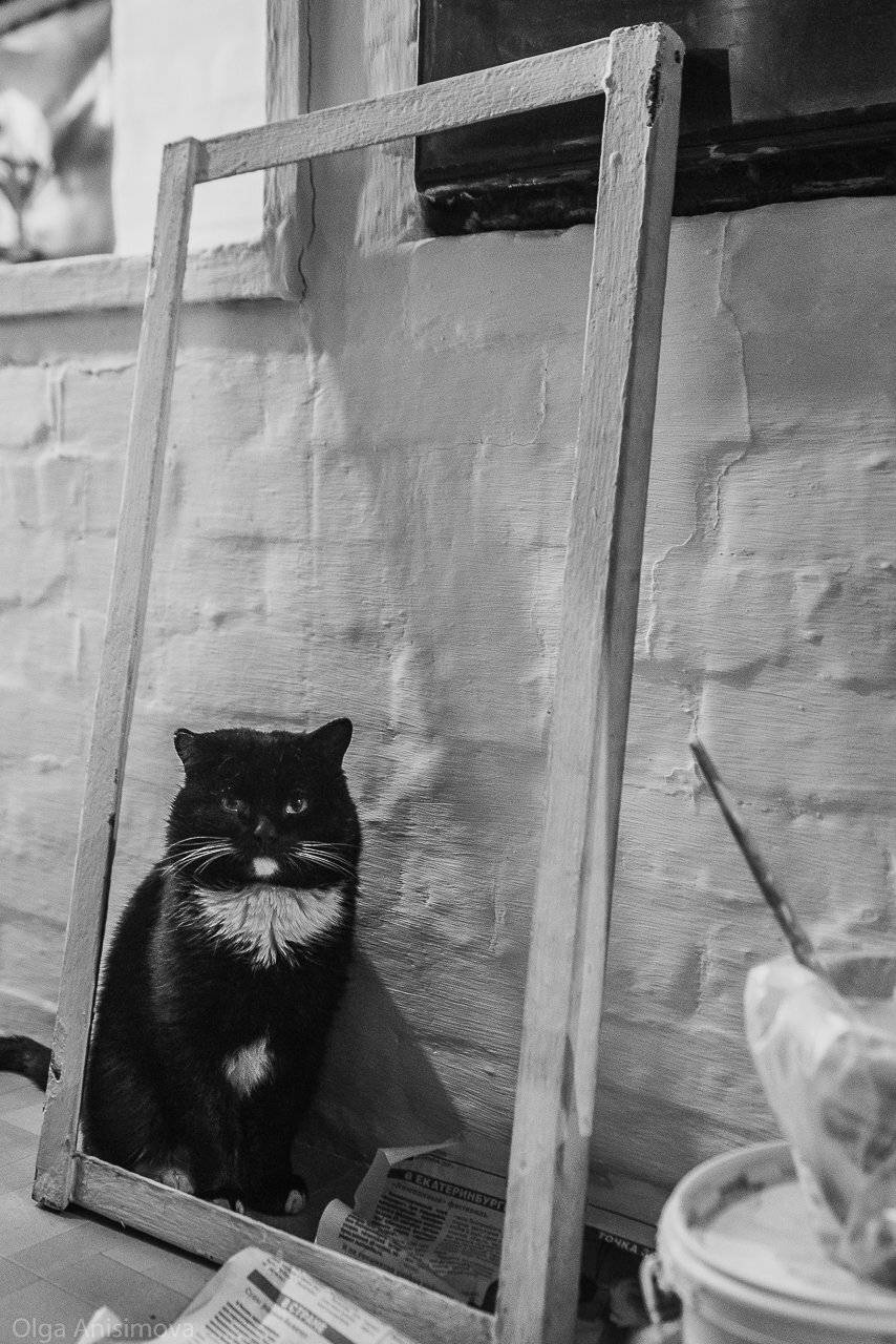 , Анисимова Ольга Леонидовна