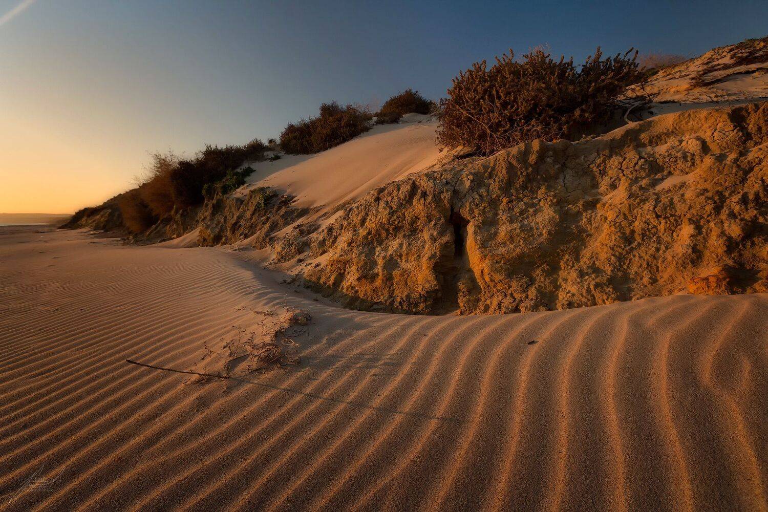 , Юрий Головченко