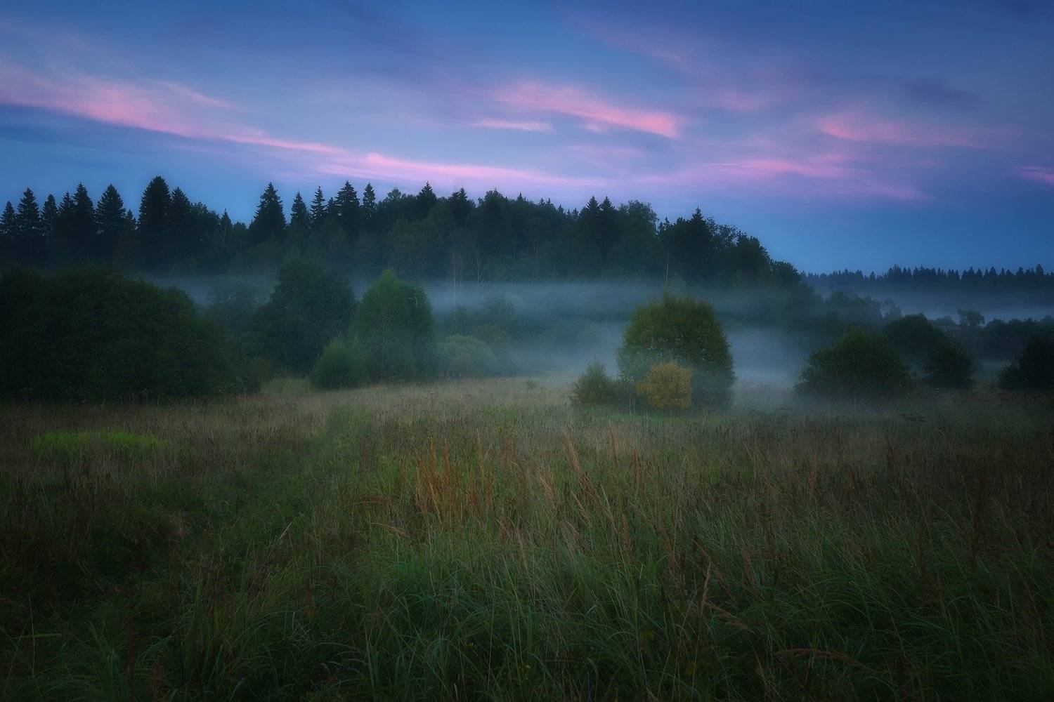 , Алексей Никонов
