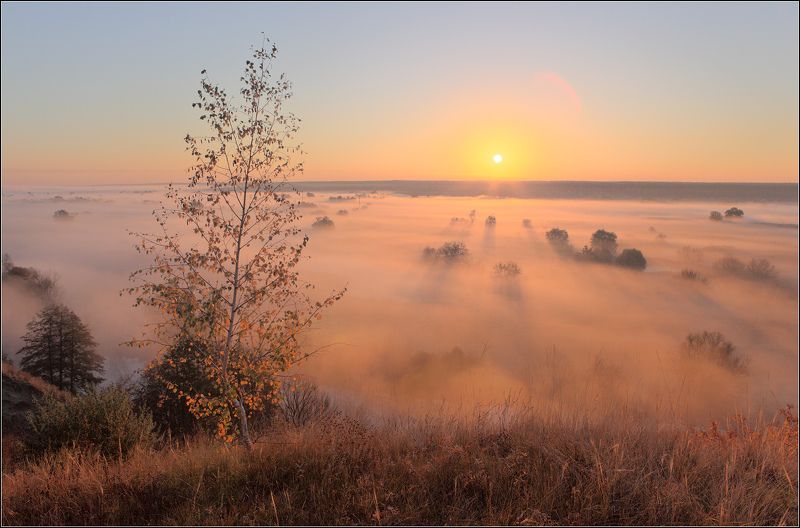 утро река туман Северский Донец на рассвете фото превью