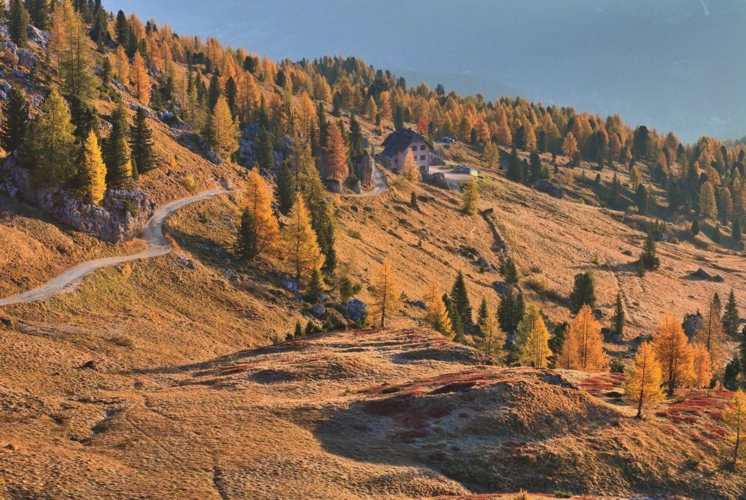 , Игорь Дубровский