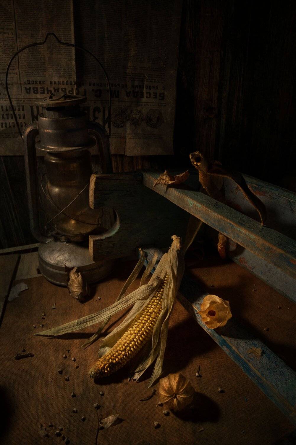 , Ирина Данилова