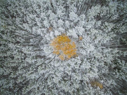 Last Autumn Days