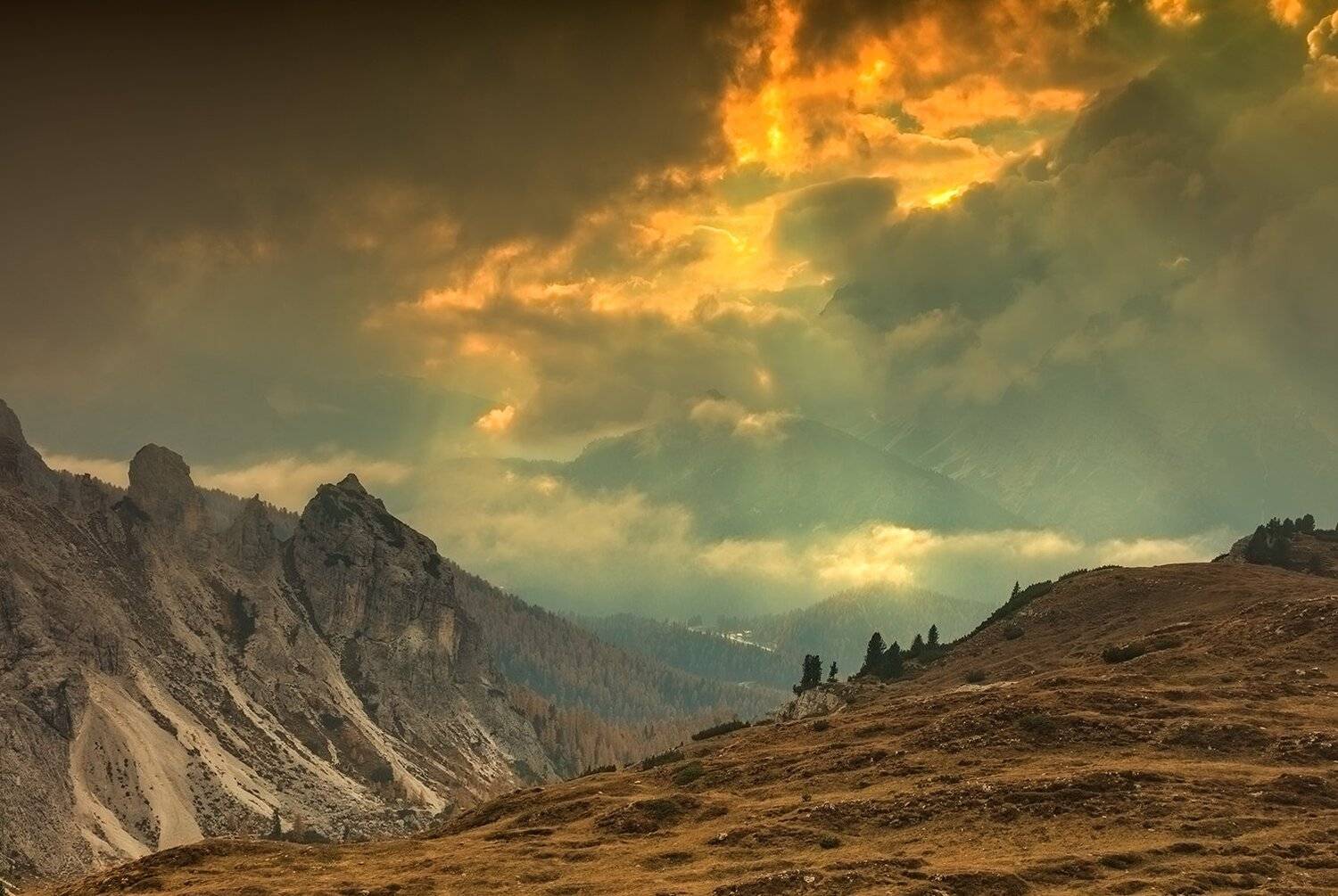 , Игорь Дубровский