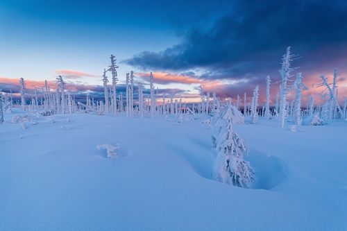 Frozen sunset.
