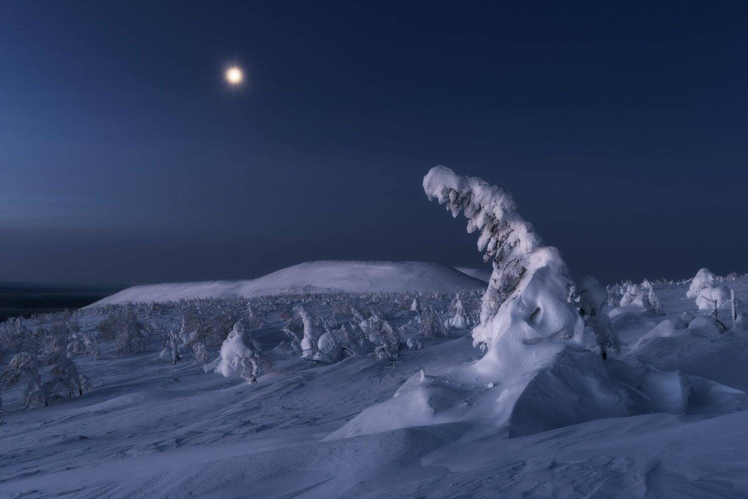 , Михаил Туркеев