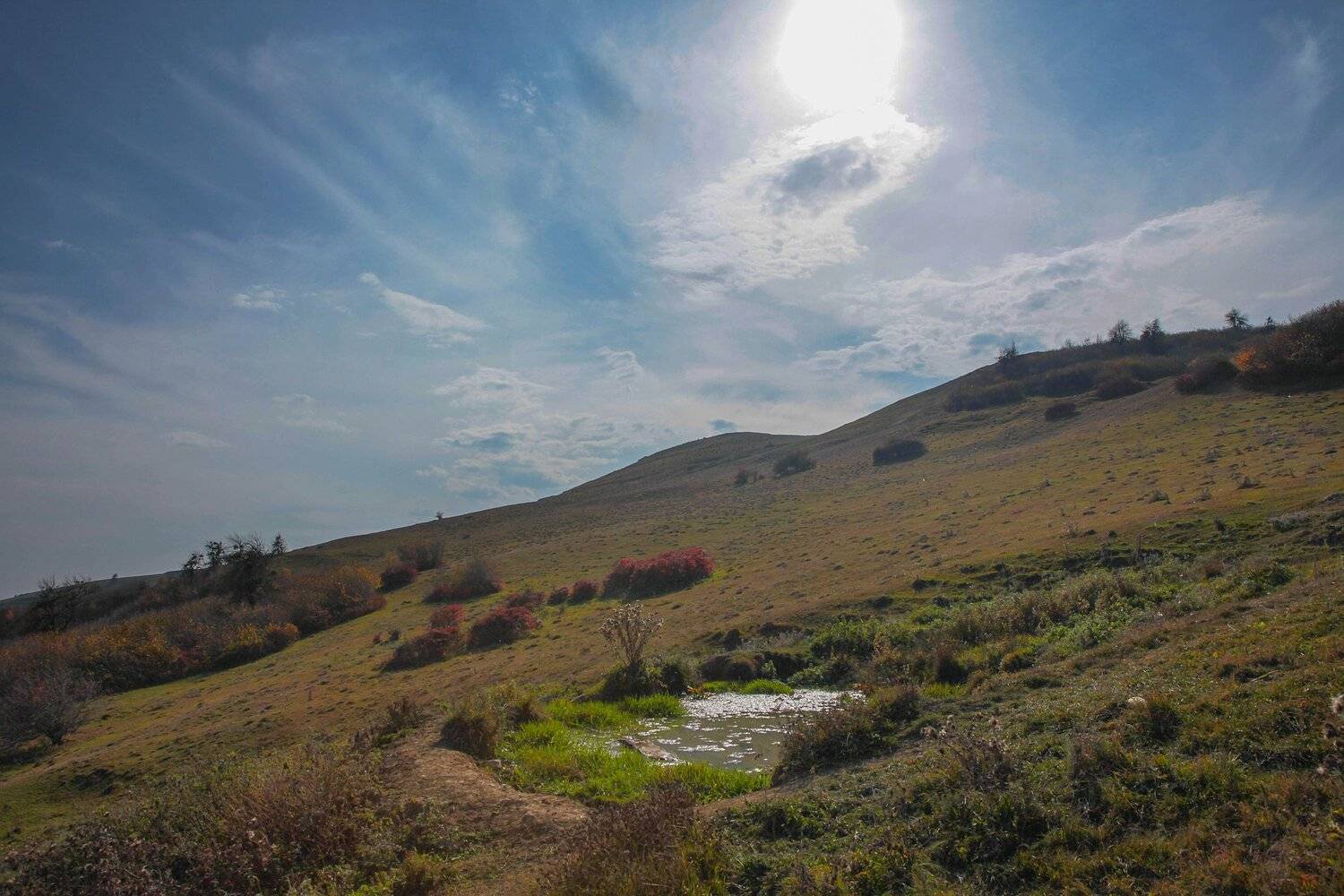 нечто,, Marat Magov