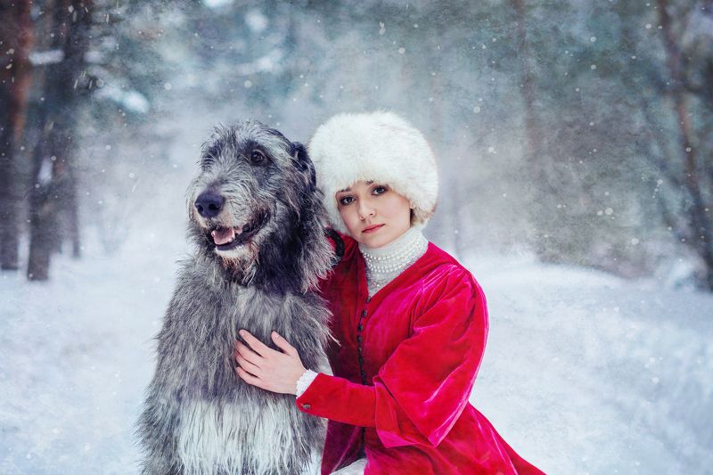 зима, самовар, рыженькая, лошадь, снег, мороз, сказка, собака, собаки, ирландец, ирландскийволкодав Зимние сказки фото превью