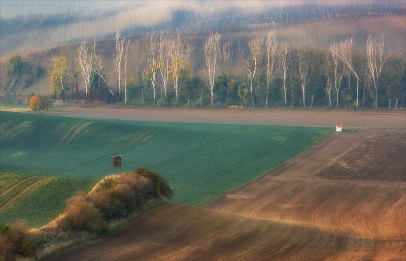 южная моравия,пейзаж,деревья,линии,south moravian,lines,полевые работы,свет,czech,осень,часовня,чехия,landscape Моравские мотивы фото превью