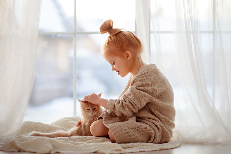 Рыжики фото превью