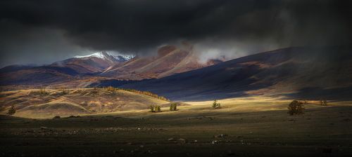 По дороге к свету.