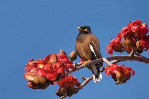 Последний день января