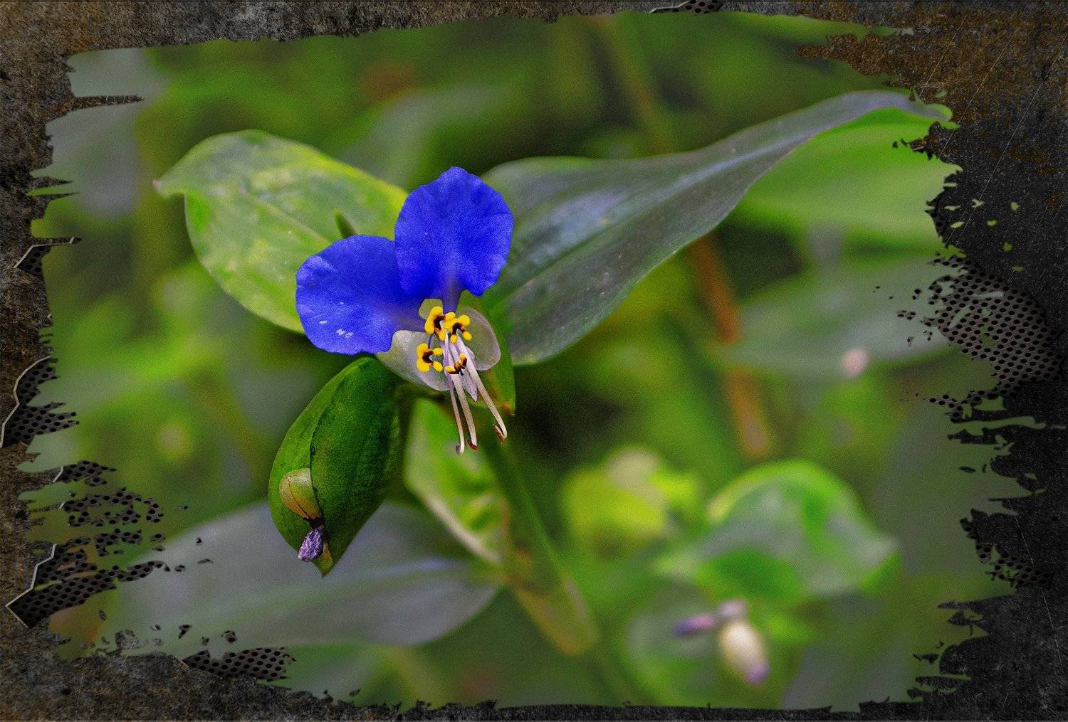 , Владимир Гамаюнов