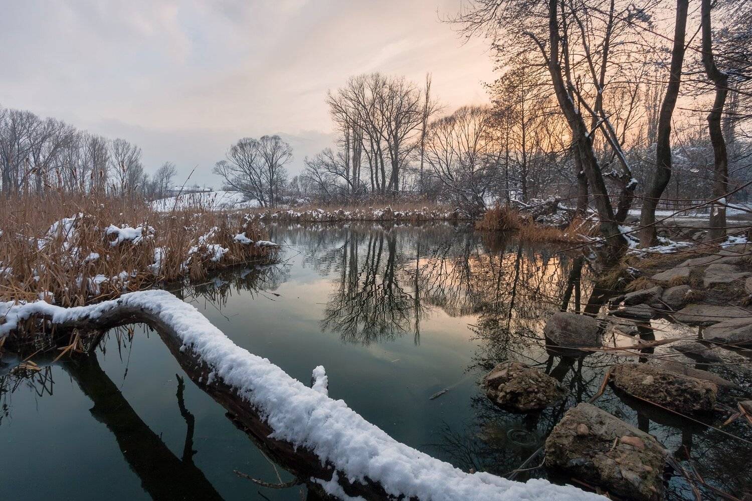 , Александър Сандев